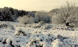 IMG_20200326_075616